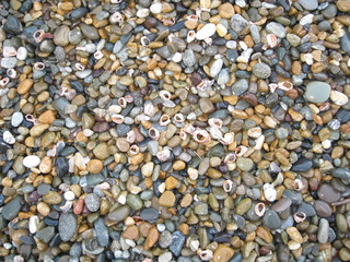 pebbles on the beach