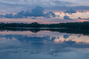 Obraz na płótnie Canvas Paurotis Pond in Everglades National Park, Florida, USA - July 16, 2018: Sunset and reflections at Paurotis Pond in the Everglades National Park near Homestead, Florida