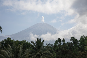 Lush jungle and the smoking Mount Semeru volcano in East Java, Indonesia