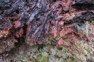 Close-up on solidified volcanic lava covered with Icelandic moss