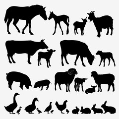 Farm animals. Set of silhouettes of domestic animals.