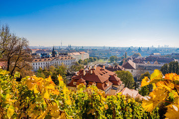 Vue sur le Vignoble de Saint-Venceslas sur la ville de Prague