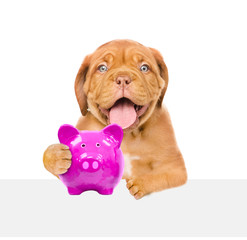 Obraz premium Funny puppy with piggy bank in the paws above white banner. isolated on white background