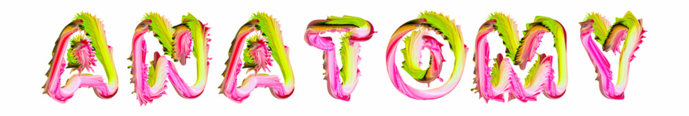 Anatomy - pink and green text written on white background