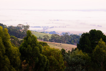 Foggy sunrise, Yarragon South hills, Victoria, Australia
