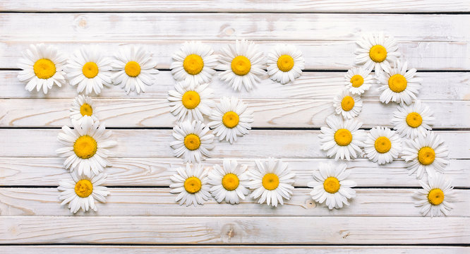 Fototapeta The word "TEA" is written with daisies. White fresh flowers on a light gray wooden background. Concept, top view.