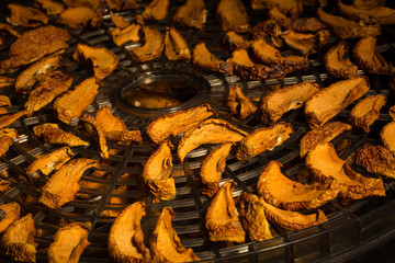 dried apples in the sun