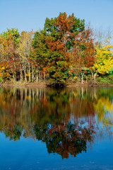 Autumn/The calm water reflecting the Autumn colorful trees