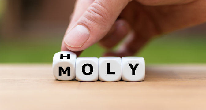 Hand is turning a dice and changes the word "holy" to "moly"