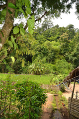 Maisons locales au village de Long Neck, Thaïlande du Nord