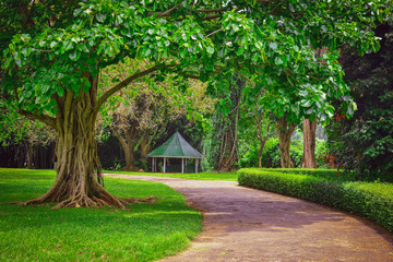 Silent place in the park