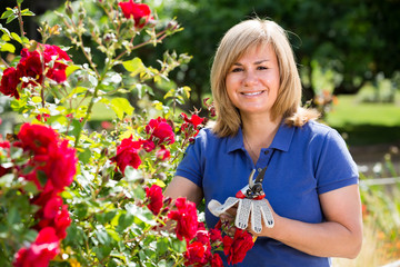 mature woman taking care of red roses
