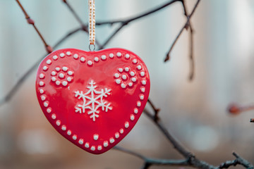 red heart on a branch