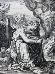 Woman by Frans Floris engraved in a vintage book History of Painters, author Jules Benouard, 1864,...