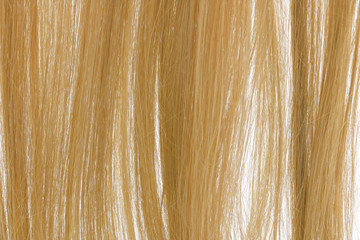 a strand of blond hair on a white background, isolated