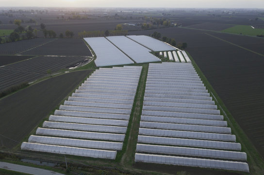 Agricoltura