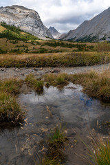 Fototapeta na wymiar Reflections of distant peaks in Alberta Canada