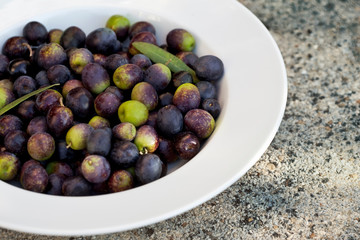 Fresh olives in a white plate