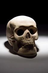 Skull of death
