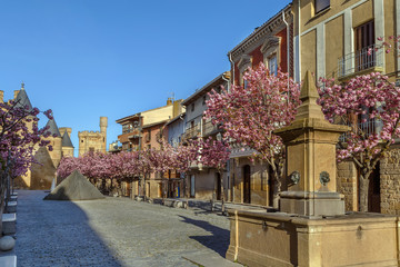 Street in Olite, Navarre, Spain