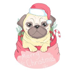 Cute puppy in a New Year hat and scarf. Vector illustration. Pedigree dog. Santa Claus. New Year's and Christmas.