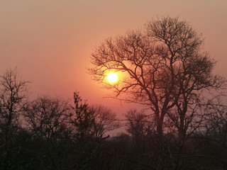coucher de soleil afrique safari