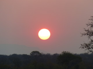 coucher de soleil afrique safari