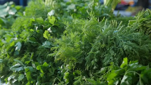  Impressive macro shot of dill and parsley bunches with wet and spiky green leaves lying outdoors in a vegetable market on a sunny day in fall