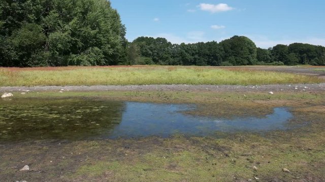 Ausgetrockneter See - Teich in Schleswig-Holstein - Sommer 2018