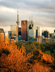 Downtown Toronto in Golden Light near Sunset