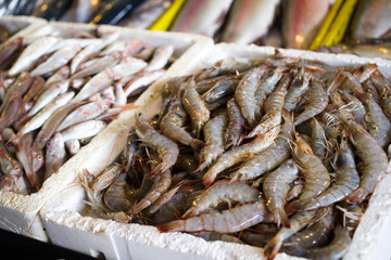 Shrimps in the fish market