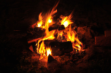 Burning fire of wood on a dark background