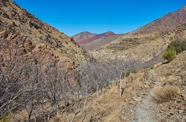 Atlas mountains of red color, Morocco