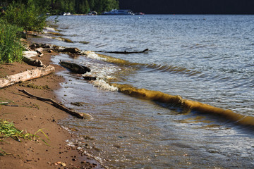Logs on the river bank and waves on a sunny summer day
