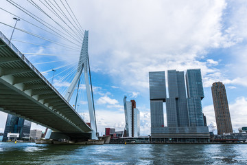 Rotterdam Skyline with Erasmus Bridge (Kop van Zuid neighborhood), The Netherlands