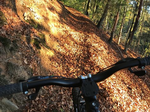 Mountainbiker on the trail