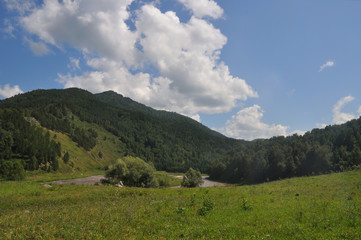 Beautiful view of the green Altai mountains, trees from high and clouds from the sky.