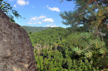 Beautiful view of the green Altai mountains, trees from high and clouds from the sky.