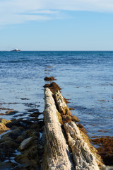 Nature and view of the Black Sea coast