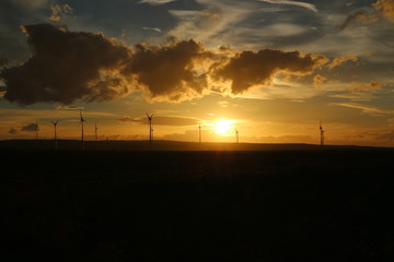 Sunset over the field of wind turbines, Austria