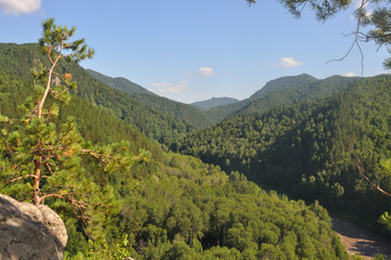 Beautiful view of the green Altai mountains, trees from high and clouds from the sky.