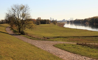 Elbdeich bei Riesa