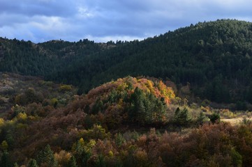 Obraz premium landscape in autumn colors 