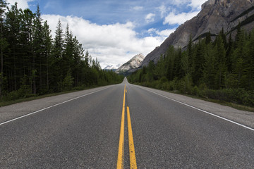 Fototapeta premium road in the mountains