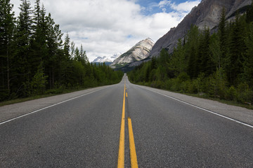 Fototapeta premium road in the mountains