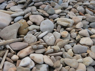 Stone background, close-up photo. Marine stone backdrop