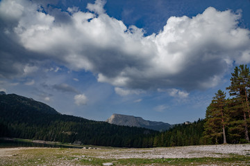 Fototapeta na wymiar Natural landscape. Mountain lake, Montenegro, Durmitor national park