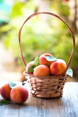 Fresh peaches in the basket