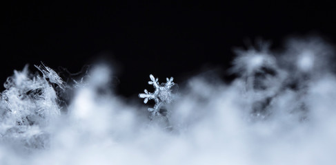 snowflake in the snow, winter