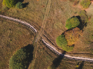 View from the height of the road forest autumn yellow trees and grass